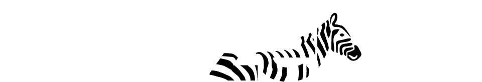 bg-ms.vivozebra.com